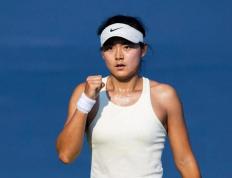 关于莎拉波娃遭遇三连败，美国队教练面临压力！的信息